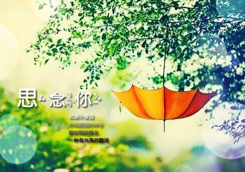 萧御魏雪宁（魏雪宁萧御）全文免费阅读无弹窗大结局_（魏雪宁萧御）萧御魏雪宁最新章节列表（魏雪宁萧御）