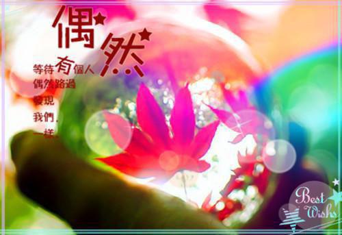 闲情个人简历模板