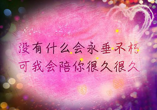 何思娇陈岁欢全文免费阅读(胡闹室友小说)全文免费何思娇陈岁欢读无弹窗大结局_胡闹室友小说何思娇陈岁欢全文免费何思娇陈岁欢读最新章节列表（胡闹室友小说）