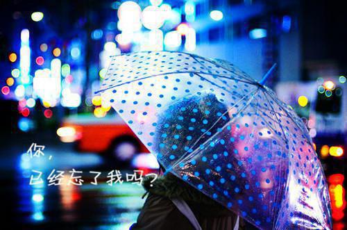 睁眼看中国美食最新章节_睁眼看中国美食全文免费阅读