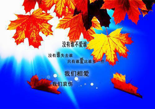 郑锦严越最新章节_郑锦严越全文免费阅读