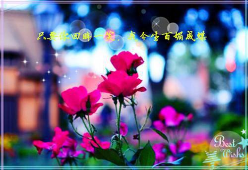 全文小说道士也疯狂花平卓不凡免费阅读
