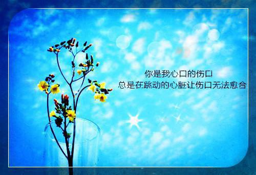 等风忠告小说全文免费阅读(苏甜许见微)全文免费苏甜许见微读无弹窗大结局_ 苏甜许见微免费苏甜许见微读最新章节列表（等风忠告小说）