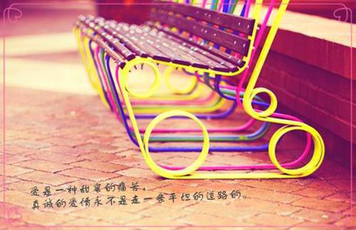 残疾人的励志故事作文