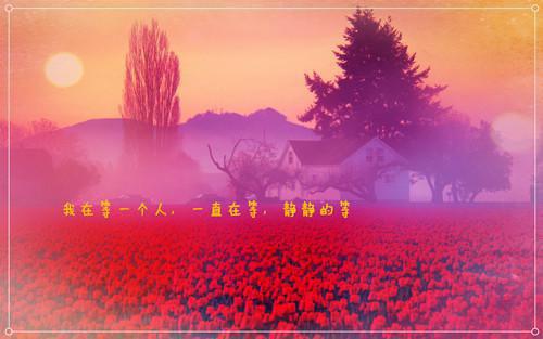 叶倩叶笙祁野为叶倩叶笙祁野的小说叫什么-最新小说命运兑换全文阅读