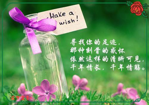 人生感悟经典语句精美