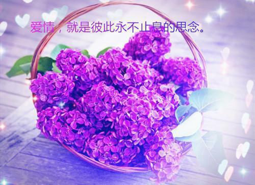 王府悍妃：摄政王爷宠上天最新章节_王府悍妃：摄政王爷宠上天全文免费阅读