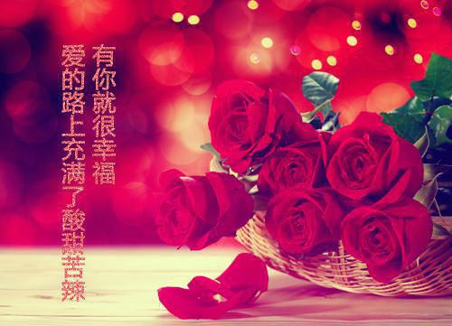 桑泱岑西琤全文免费阅读（桑泱岑西琤小说）全文免费阅读无弹窗大结局_桑泱岑西琤全文免费阅读（桑泱岑西琤小说）最新章节列表（桑泱岑西琤）