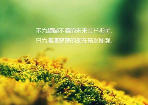 祁漪月禹墨池（祁漪月禹墨池小说）全文免费阅读无弹窗大结局_ (祁漪月禹墨池)最新章节列表（祁漪月禹墨池小说）