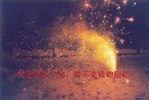电子商务全职应聘简历
