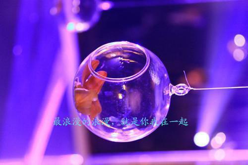 睡前小故事：森林中的小河的童话