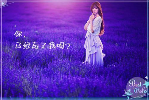 人前乖软人后翻脸，冷面老公陪我演乔软傅寒沉无删减（人前乖软人后翻脸，冷面老公陪我演：乔软傅寒沉结局+番外）全文免费阅读无弹窗大结局_人前乖软人后翻脸，冷面老公陪我演乔软傅寒沉完本小说全章节阅读（人前乖软人后翻脸，冷面老公陪我演：乔软傅寒沉结局+番外）