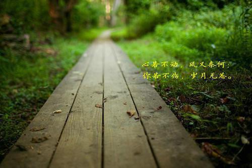 小说穿书：假千金她觉醒了反向读心术主角为 安沐安瑾辰免费阅读