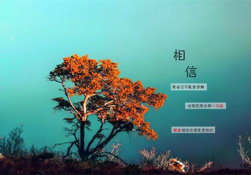 关于青春的人生感悟句子