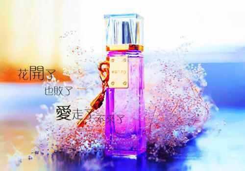 项目技术负责人求职简历表格