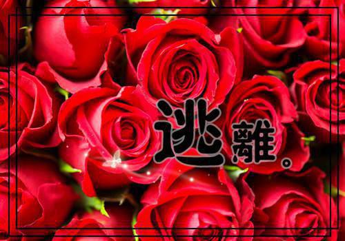 男友九十九次悔婚后，他悔疯了全文目录 江许野阿梨陆怀征慕小小小说免费阅读无广告