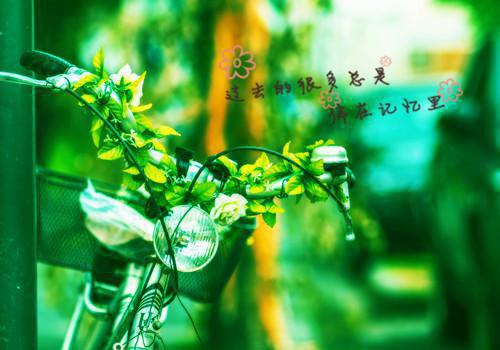 温知夏霍从衍：全文+后续+结局（温知夏霍从衍）全文温知夏霍从衍读无弹窗结局_温知夏霍从衍读结局章节列表（温知夏霍从衍：全文+后续+结局）