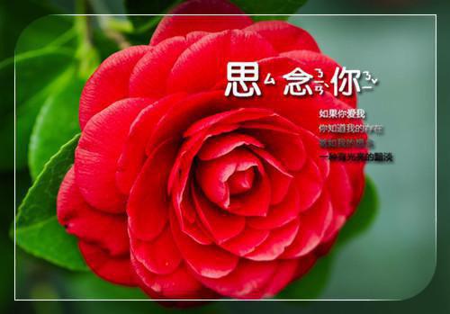 高考励志古诗句