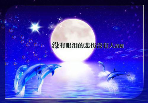 江雨柔莫逸辰最新章节_江雨柔莫逸辰全文免费阅读
