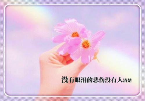 情散梦离去最新章节_情散梦离去全文免费阅读