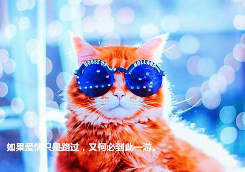 职场励志电影排行榜前十名