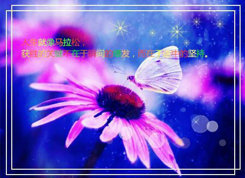 动物童话故事：我也是小小发明家
