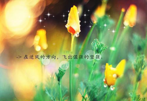 温晴陆镜年全文免费阅读（重来一次，她再不会为一个不爱她的男人蹉跎一辈子）全文免费温晴陆镜年读无弹窗大结局_(重来一次，她再不会为一个不爱她的男人蹉跎一辈子免费温晴陆镜年读全文大结局)最新章节列表（温晴陆镜年）