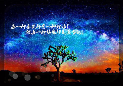 成功的滋味550字