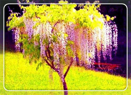 暖通工程师简历表格