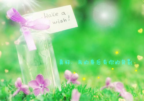 一拳之尊最新章节_一拳之尊全文免费阅读