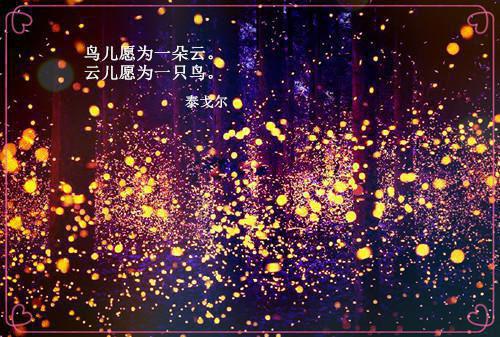 关于哲学的故事3个