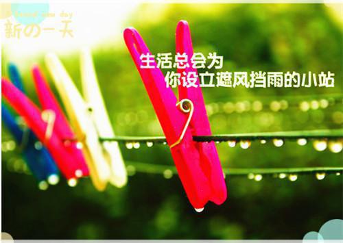 爱烬离港：全文版周辰小说全文免费阅读