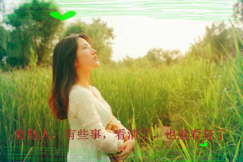 每天一点正能量的句子荐读