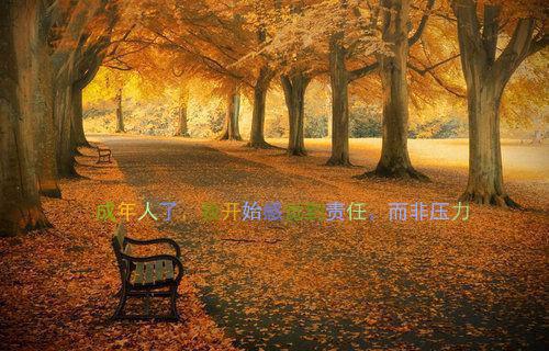 产品工程师应聘求职简历范文
