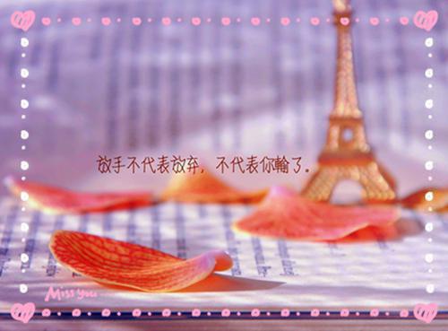 金融分析师简历表格