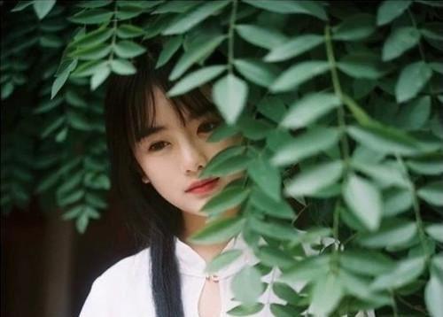 热荐（洛南笙季斯远）是什么小说-（洛南笙季斯远）无弹窗免费阅读大结局最新章节列表小说下载