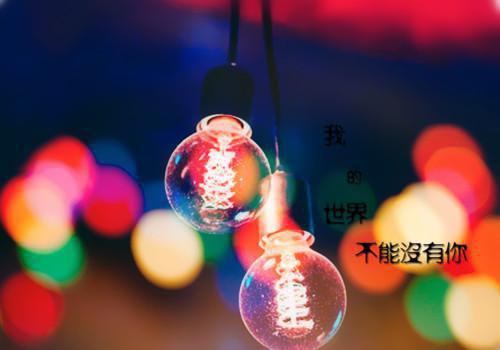 软件技术工程师个人简历范文