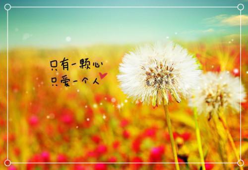 努力的名人励志故事