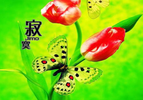 关于牙齿的童话故事有关牙齿的童话故事