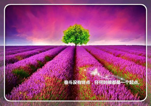科学家的励志小故事