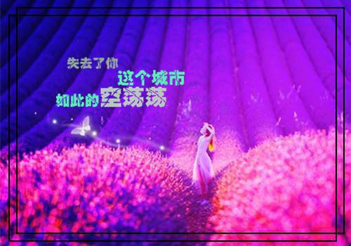 老公直播拍卖我身体最新章节_老公直播拍卖我身体全文免费阅读
