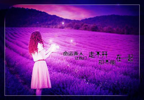 老六系统知乎全文小说喻星津苏苏目录