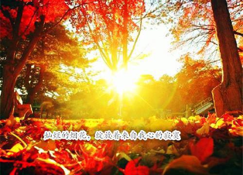 (番外)+(全文)烈爱海誓难两许（陆沐瑾沈晏池：大结局+后续）完结阅读无弹窗大结局_(陆沐瑾沈晏池)最新章节列表（烈爱海誓难两许：大结局+后续）