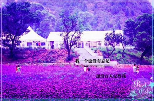 后会无期精彩影评