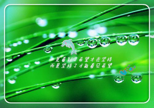 林晓兰严立恒（林晓兰严立恒）全文在线阅读无弹窗大结局_(林晓兰严立恒林晓兰严立恒免费阅读全文大结局)最新章节列表（林晓兰严立恒）