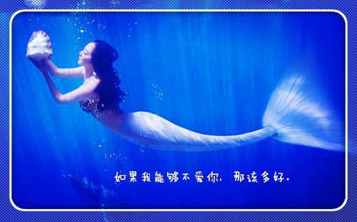 顾琴琴苏薇（反撩千金顾琴琴苏薇）全文免费阅读无弹窗大结局_人海宿命全文免费阅读（反撩千金顾琴琴苏薇）最新章节列表（顾琴琴苏薇）