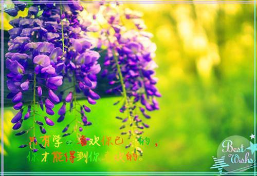 重生后，她成了国民影后最新章节_重生后，她成了国民影后全文免费阅读