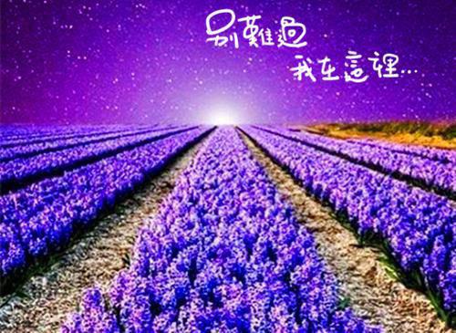 我替姐姐献祭河神后杀疯了全文小说抖音热门小说在线阅读