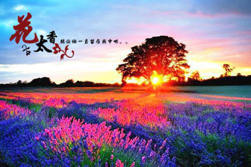 写给自己的励志好文章