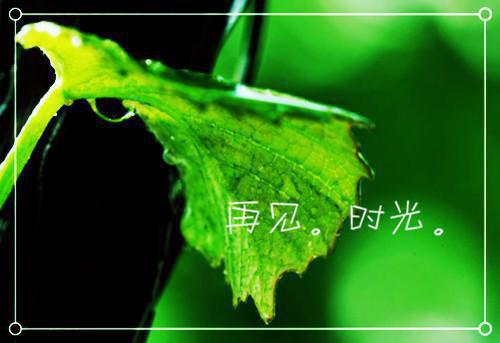 职场励志文章